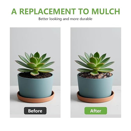 5lbs Mix Horticultural Lava Rocks for Plants, 1/5 Inch Potting Soil Amendment for Succulents, Cacti, Bonsai, Decorative Gravel Plant Drainage Volcanic for Terrarium, Top Dressing