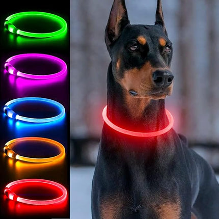 Light Up Dog Collar, Dlitk Rechargeable Cuttable LED Dog Collars, Pet Safety Light at Night Walking for Small Medium Large Dogs, Do Not Use Fast Charging (Red)