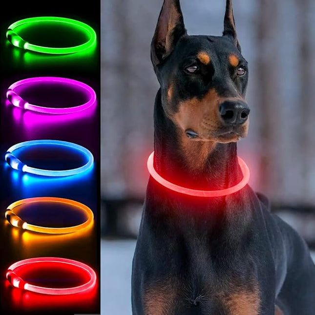 Light Up Dog Collar, Dlitk Rechargeable Cuttable LED Dog Collars, Pet Safety Light at Night Walking for Small Medium Large Dogs, Do Not Use Fast Charging (Red)