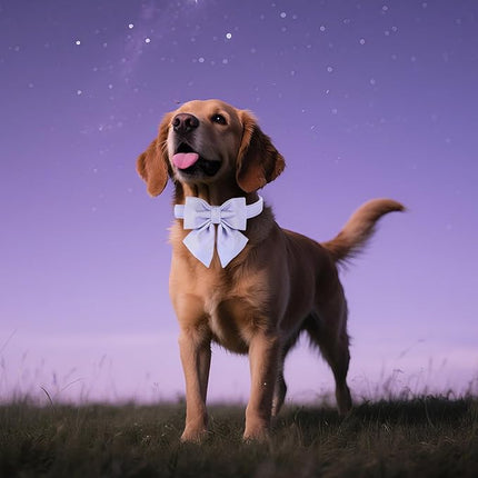 Maca Bates Violet Dog Collar with Cute Lavender Solid Sailor Bow Tie,Medium Girl Boy Dogs,Girly Adjustbale Durable Breakaway Soft Collars with Bowtie for Female Male Puppy,Pet with Metal Buckle