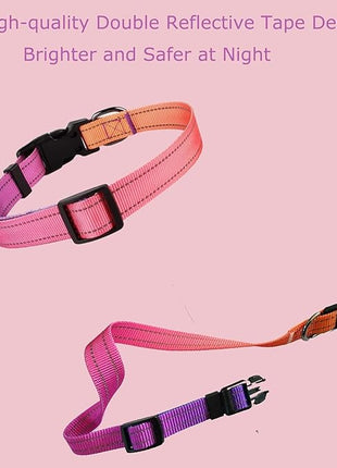 Roses&Poetry Reflective Dog Collar with Gradient Mistyrose, Adjustable Durable Pet Collars for Small Medium Large Dogs (Mistyrose-L)