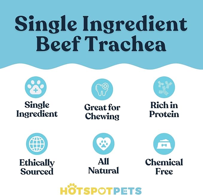 hotspot pets Premium Beef Trachea for Dogs 6" Strips Split - (40 Pack) All Natural Grass-Fed Beef Dog Chews, Rich in Glucosamine Chondroitin for Joint Health, Single Ingredient No Rawhide Dog Treats