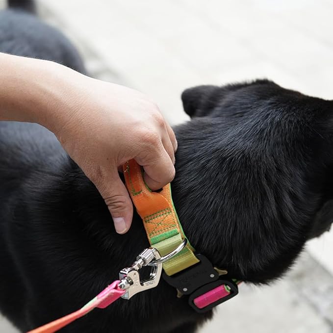 TSPRO Premium Dog Collars Tactical Dog Collar with Handle and Heavy Duty Quick-Release Metal Buckle Durable Thick and Adjustable for Medium to Large Dogs (Gradient Multi-Colored M)