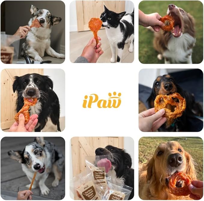 iPaw Turkey Tendon for Dogs 40 Pcs Bulk Pack, Ingredient Sourced from USA, Hypoallergenic, All Natural Human Grade Puppy Chew, Dog Treats for Signature Series, Rawhide Alternative, Ring (Small)