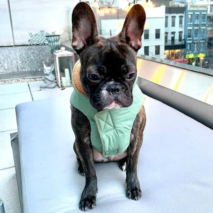 Gooby Sport Vest - Green, X-Small, Reflective Dog Vest with D Ring Leash, Warm Fleece Lined Small Dog Sweater