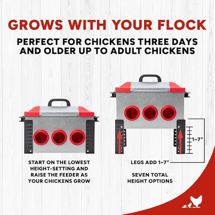 RentACoop Flock Feeder 15 Metal Chick2Chicken Feeder – Space-Saving Weatherproof Poultry Feeder with 6 Ports, Adjustable Legs, Rain Covers for Chicks, Chickens, Quail, Bantams, and Other Small Birds