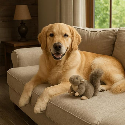 SPOT Woodland Collection Squirrel Dog Toy with Squeaker, Plush Grunting Tug Toy, Interactive Play for All Dog Breeds, 10"