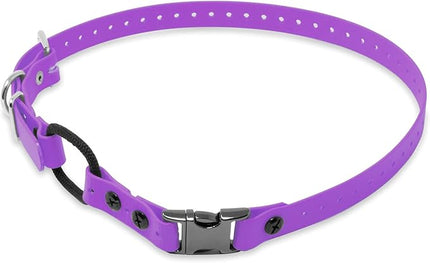 Educator Quick Snap Bungee Dog Collar, Biothane, Waterproof, Odorproof, Easy Connect and Disconnect Clasp and D Ring with Comfort Bungee Loop, Adjustable for Custom Fit, 3/4-Inch, Purple