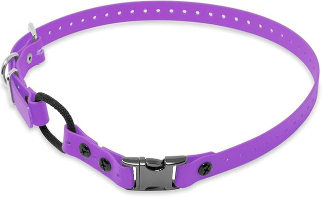 Educator Quick Snap Bungee Dog Collar, Biothane, Waterproof, Odorproof, Easy Connect and Disconnect Clasp and D Ring with Comfort Bungee Loop, Adjustable for Custom Fit, 3/4-Inch, Purple