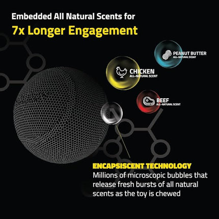 Playology Dog Toys | Squeaky Chew Ball - Bouncy Durable Floating Fetch Ball for Dogs, Value 2-Pack | Medium Chicken Scented Toy - Easy to Clean and Made from Non Toxic Materials