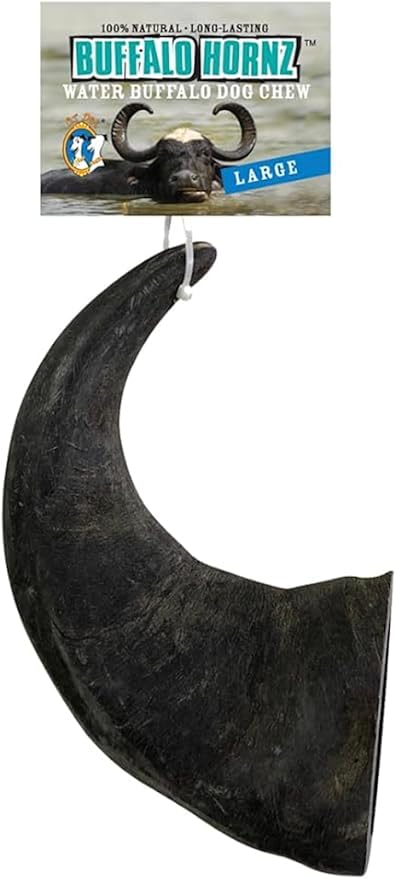 QT Dog Large Water Buffalo Horn - Long-Lasting 100% All-Natural Dog Chew, Ethically Sourced Protein-Packed & Low Fat Dental Chews, Ideal for All Breeds & Aggressive Chewers