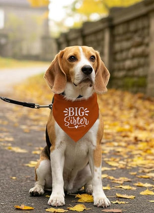 Big Sister Bandana for Dogs, Pet Pregnancy Announcement, Dark Orange Dog Bandana, Dog Baby Announcement, Pet Bandanas for Small Medium Dogs (M)