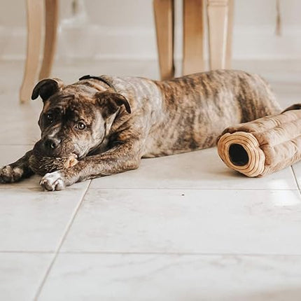 ZippyPaws Burrow- Interactive Dog & Puppy Toys for Boredom, Stimulating Pet Products to Keep them Busy, Hide & Seek Plush Dog Puzzles, Squeaky Toy for Enrichment, For Small & Medium Dogs- Chipmunk Log