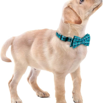 Faleela Soft &Comfy Bowtie Dog Collar,Detachable and Adjustable Bow Tie Collar,for Small Medium Large Pet (Medium (Pack of 1), Green)