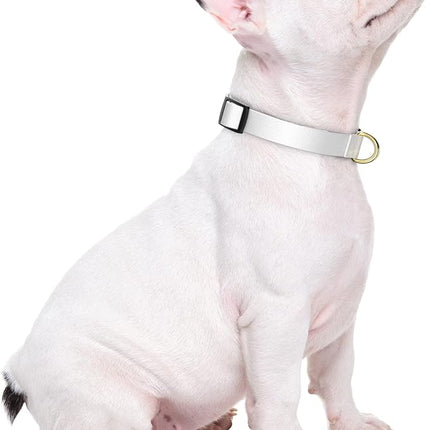 Rnivvi Dog Collar for Small Dogs, Classic Heavy Duty Adjustable Puppy Collar with Quick Release Buckle for Boy Girl & Female,Pet Accessories for Walking Running Training, S Length 3/4" Width, White