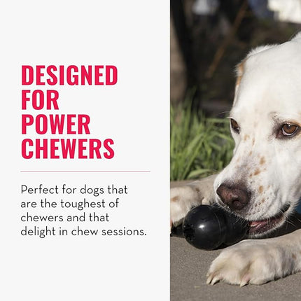 KONG - Extreme Goodie Bone - KONG's Most Durable Natural Rubber Dog Bone for Power Chewers - Black - For Large Dogs