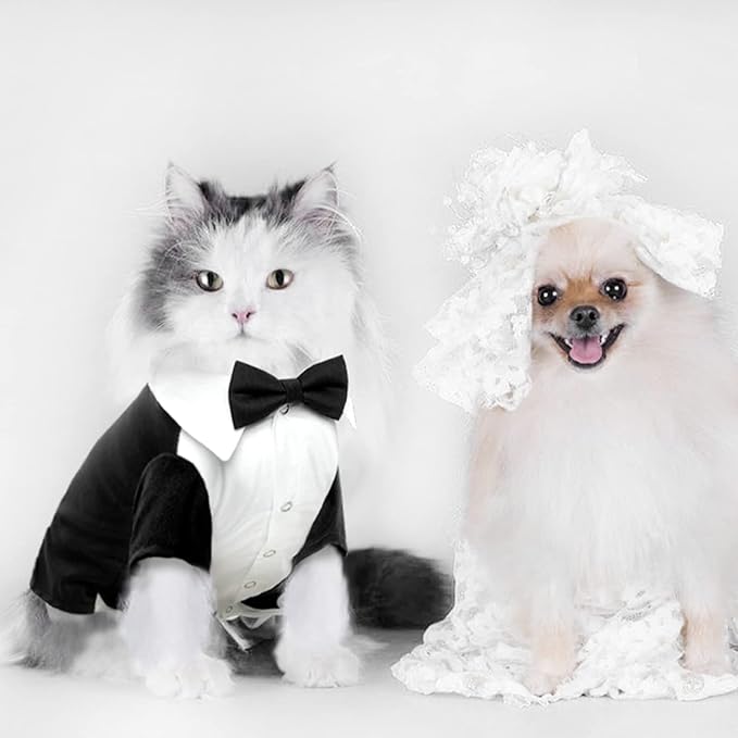 QBLEEV Cat Tuxedo Suit, Sphynx Cat Suit for Cat with Two Bow Tie, Cat Tuxedo Outfit for Birthday Photo Shoot, Formal Onesie Attire Wedding Costumes for Kitten, Male Cat Clothes for Hairless Cats Only