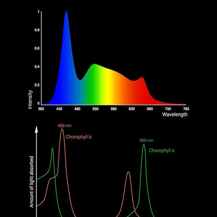 NICREW ClassicLED Plus LED Aquarium Light with Timer, 27 Watts, for 36 to 48 Inch Fish Tank Light, Daylight and Moonlight Cycle