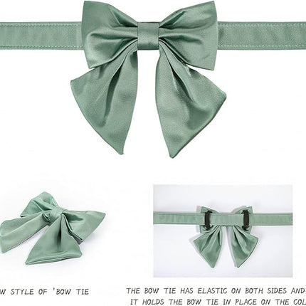 Lionet Paws Bowtie Dog Collar - Comfortable Silk Dog Collar with Detachable Bow Tie for Puppy and Cat, Neck 8-12 Inches