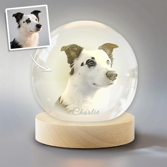 Personalized 3D Pet Memorial Gift for Dog or Cat - Custom Photo in Crystal with Optional Light Base, Unique Loss Keepsake (S/M/L)