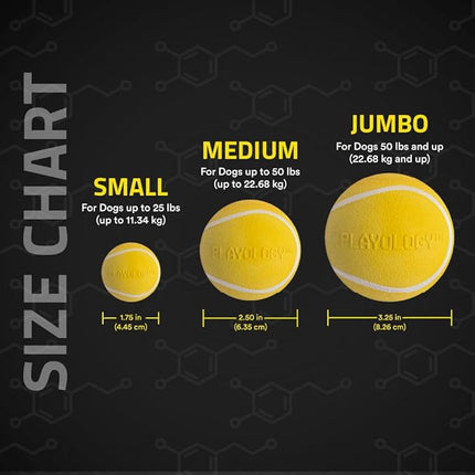 Playology Dog Toys | Squeaky Chew Ball - Bouncy Durable Floating Fetch Ball for Dogs, Value 2-Pack | Medium Chicken Scented Toy - Easy to Clean and Made from Non Toxic Materials