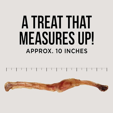 Natural Rapport Beef Tendon Dog Treats - The Only Beef Tendon Chews Dogs Need - All Natural Dog Treats for Small and Large Dogs (10 Chews)