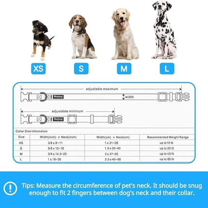 Blueberry Pet 7 Patterns Spring Scent Inspired Pink Dog Collar, Medium, Neck 14.5"-20", Dog Collars, Puppy Collar, Flowers for Dog Collars Girl, Purple Dog Collar, Girl Dog Accessories