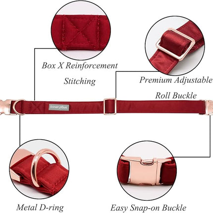 Lionet Paws Bowtie Dog Collar - Comfortable Silk Dog Collar with Detachable Bow Tie for Medium Dogs, Neck 13.5-22 Inches