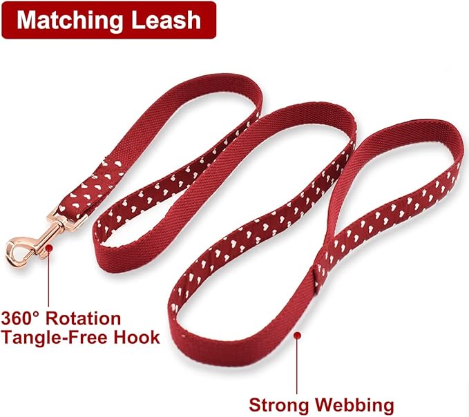 Bubblepup Dog Collar and Leash Set, Comfortable Adjustable Dog Collars for Small Medium Large Dogs