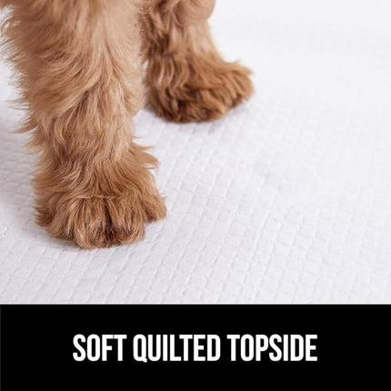 Gorilla Guard Disposable Puppy Pads, 5 Layer Pee Pads for Dogs, Absorbent Diaper Changing Pad, Dog Potty Training Supplies, Quick Dry Pet Housebreaking Essentials for Puppies, 25 Count 22x22 in
