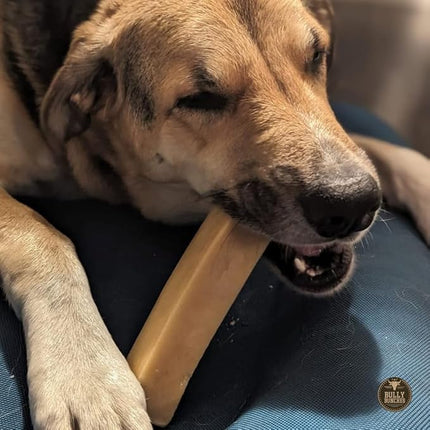 Bully Bunches Mega Authentic Yak Cheese Himalayan Chews for Giant Dogs & Super Aggressive Chewers - All Natural Dog Treat Dental Chews, Made with Real Yak Milk - Lactose & Rawhide Free (4 PK)