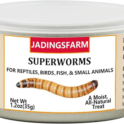 6 Pack Canned Superworms for Reptiles, Fish, Birds and Small Animals, Super Worms, Healthy High Protein Treat for Reptile Bird Fish Food 7.2 Ounces Total