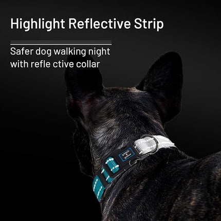 Roses&Poetry Dog Collars for Medium Dogs, Adjustable Durable Pet Collars for Small Medium Large Dogs (Teal-M)