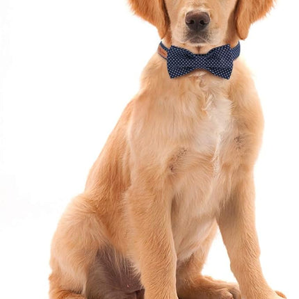 Lionet Paws Boy Dog Collar with Bowtie, Comfortable Adjustable Cute Navy Blue Bow Tie Collar for Male Puppies and Cats Gift, XS, Neck 8-12 inches