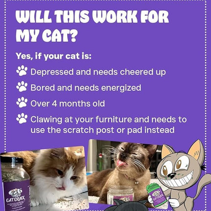 Cat Crack Catnip, Zoomie-Inducing Cat Nip Blend, North American Made & 100% Natural, Safe & Non-Addictive Catnip Treats Used to Supplement Cat Nip Toys, Spray, & Accessories (4 Cups)