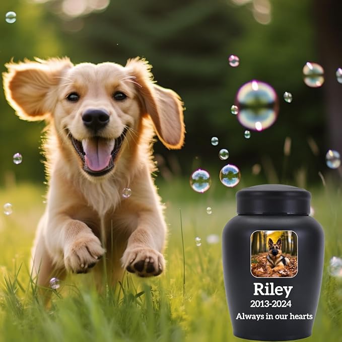 Dog Urn Personalized,Custom Pet Urns for Cats,Cat urn,Urns for Dog and Cat Ashes,Pet Memorial Gifts Square