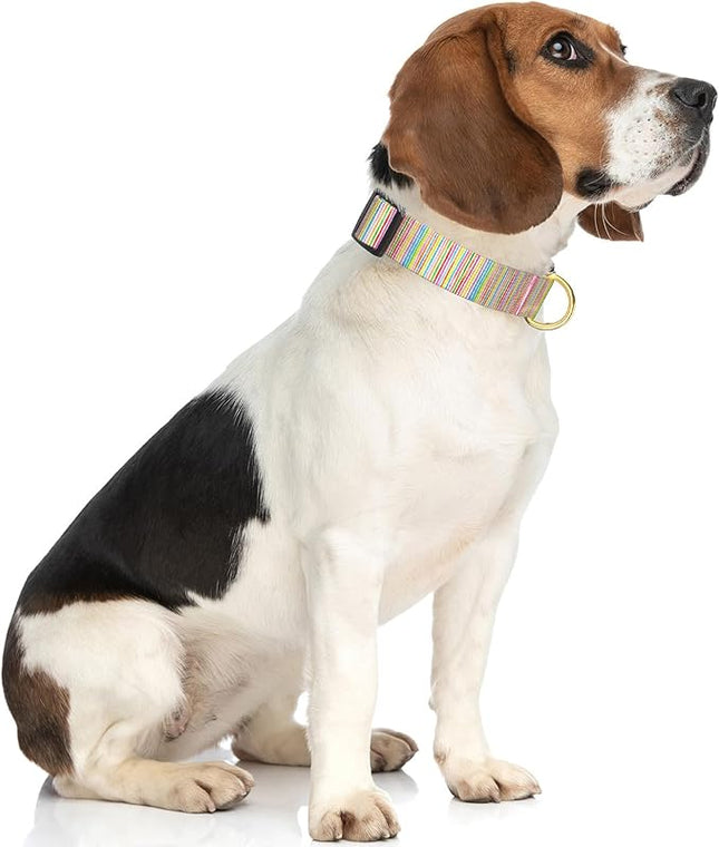 Rnivvi Dog Collar for Medium Dogs, Cute Heavy Duty Adjustable Puppy Collar with Quick Release Buckle for Boy Girl & Female, Pet Accessories for Walking Running, M Length 1" Width, Watercolor Art