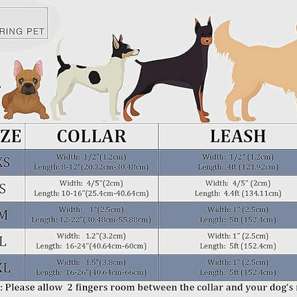 ARING PET Velvet Dog Collar and Leash Set, Soft Purple Dog Collar and Leash, Adjustable Collars for Dogs