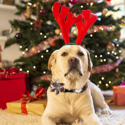 ARING PET Christmas Dog Collar, Cute Xmas Red Green Plaid Detachable Flower Pet Collar with Metal Buckle for Puppy Small Medium Large Boy Girl Dog-S