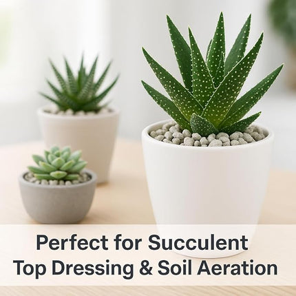 Horticultural Pumice for Plants, Natural Pumice Stone Soil Amendment, 3/8-1/4 inch, Made in USA (20 quarts - 18 lbs)