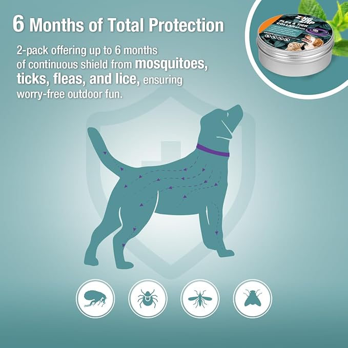 ZingZap Flea & Tick Collar 2-Pack Purple, Protects from Biting Insects, Adjustable Fits Both Dogs & Cats, Built-in Plant Based Formula, Slow Release Lasting Protection, Waterproof