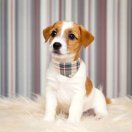 EXPAWLORER Dog Collar and Leash Set - Classic Plaid Dog Bow Tie and Dog Bandana Collar with Bell, Dog Leash Tangle Free, Adjustable Collars for Small Medium Large Dogs Cats, Holiday Ideal Gift, S