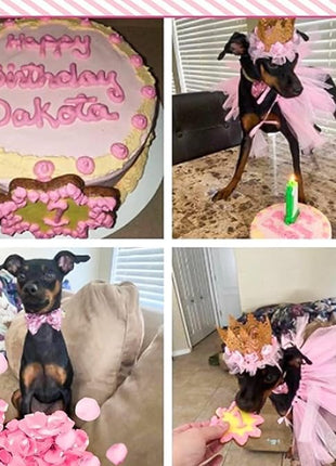 BINGPET Doggy Tutu Skirt Dog Cat Birthday Party Supplies,Cat Dogs Wedding Dresses with Bowtie and Dog Party Hats Princess Crown Hat Set,Sweet Gift for Small to Medium Dogs Cat