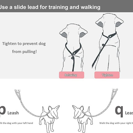 BTINESFUL 7FT Slip Lead Dog Leash, Strong Nylon Rope Leash, 1/4 inch Diam Dog Training Lead for Small Medium Large Dogs, Misty Blue