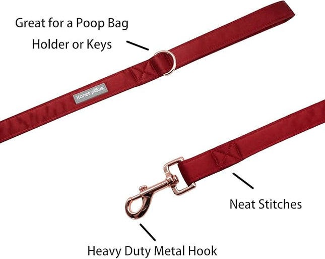 Lionet Paws Dog Leash - Silk Red Leash for Small Medium Large Dogs Matching Collar for Girl and Boy