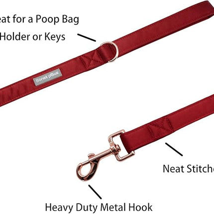 Lionet Paws Dog Leash - Silk Red Leash for Small Medium Large Dogs Matching Collar for Girl and Boy