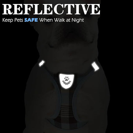 EXPAWLORER Classic Plaid Puppy Harness - Small Dog Harness and Leash Set - Dog Collar and Leash Set with AirTag Holder, Soft Padded Step in Dog Vest Harness No Pull Reflective for Outdoor, Blue XXS