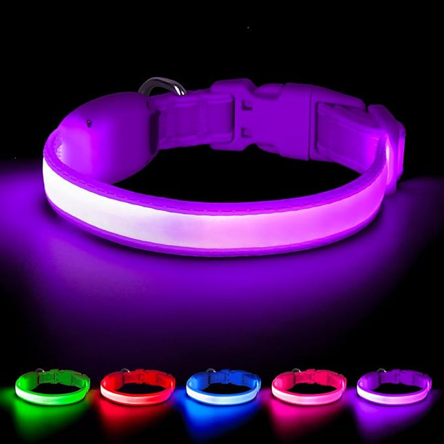 Light up Collar for Small Dog,Vizpet XS Adjustable Size Nylon Collar USB Rechargeable Bright Safety Pet Collar for Cats Small Dogs(Purple, X-Small[ 8.66-11.9 inch/22cm-30cm])