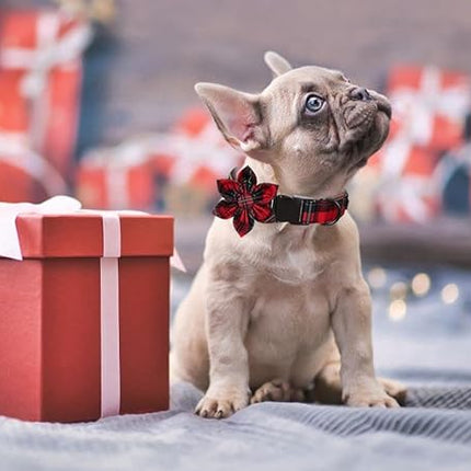 Lionet Paws Christmas Dog Collar with Flower, Dog Flower Collar with Metal Buckle for Dogs, Adjustable Comfortable Dog Collar Girl Gift, M, Neck 13.5-22 in