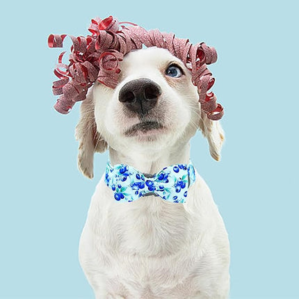 Lionheart glory Dog Bow Collar Blueberries Print Collars for X-Small Dogs, Spring Summer Cute Duty Adjustable Dog Collar with Bowtie Puppy Collars Bows Pet Gift